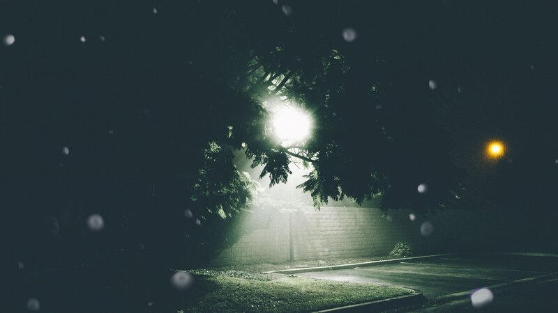 Streetlight Through Tree Branches — Black