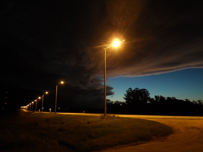 Streetlights at Dusk — Black