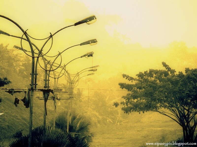 Streetlights in Fog — Yellow