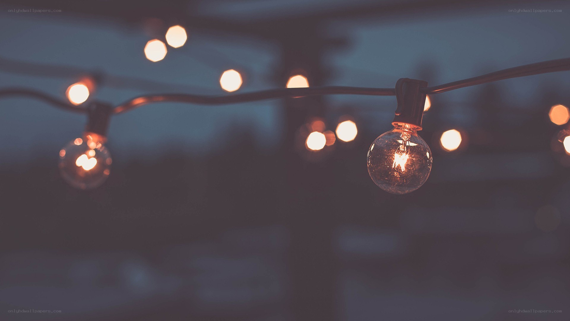 String lights at dusk