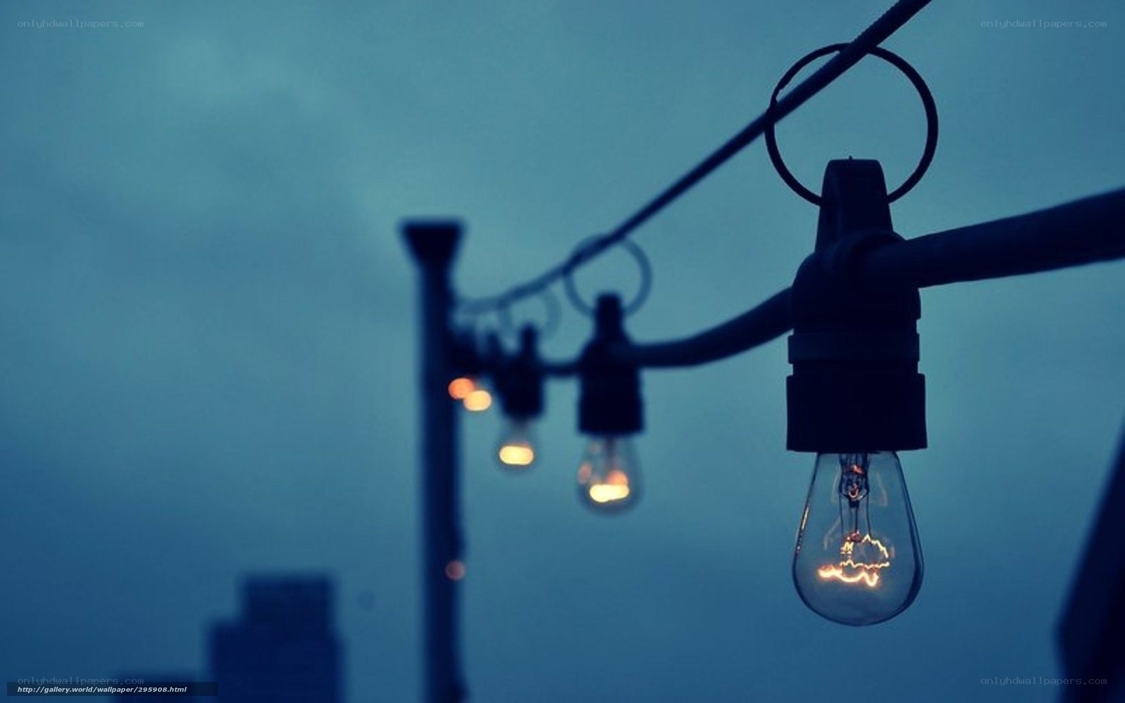 String lights at dusk