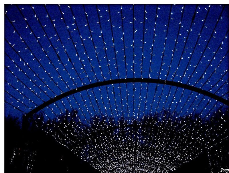 string lights at night