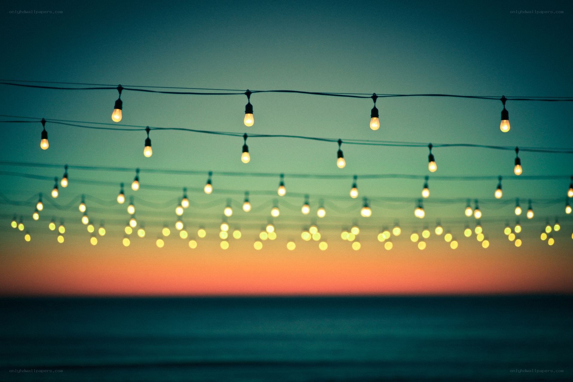String lights at sunset by the sea