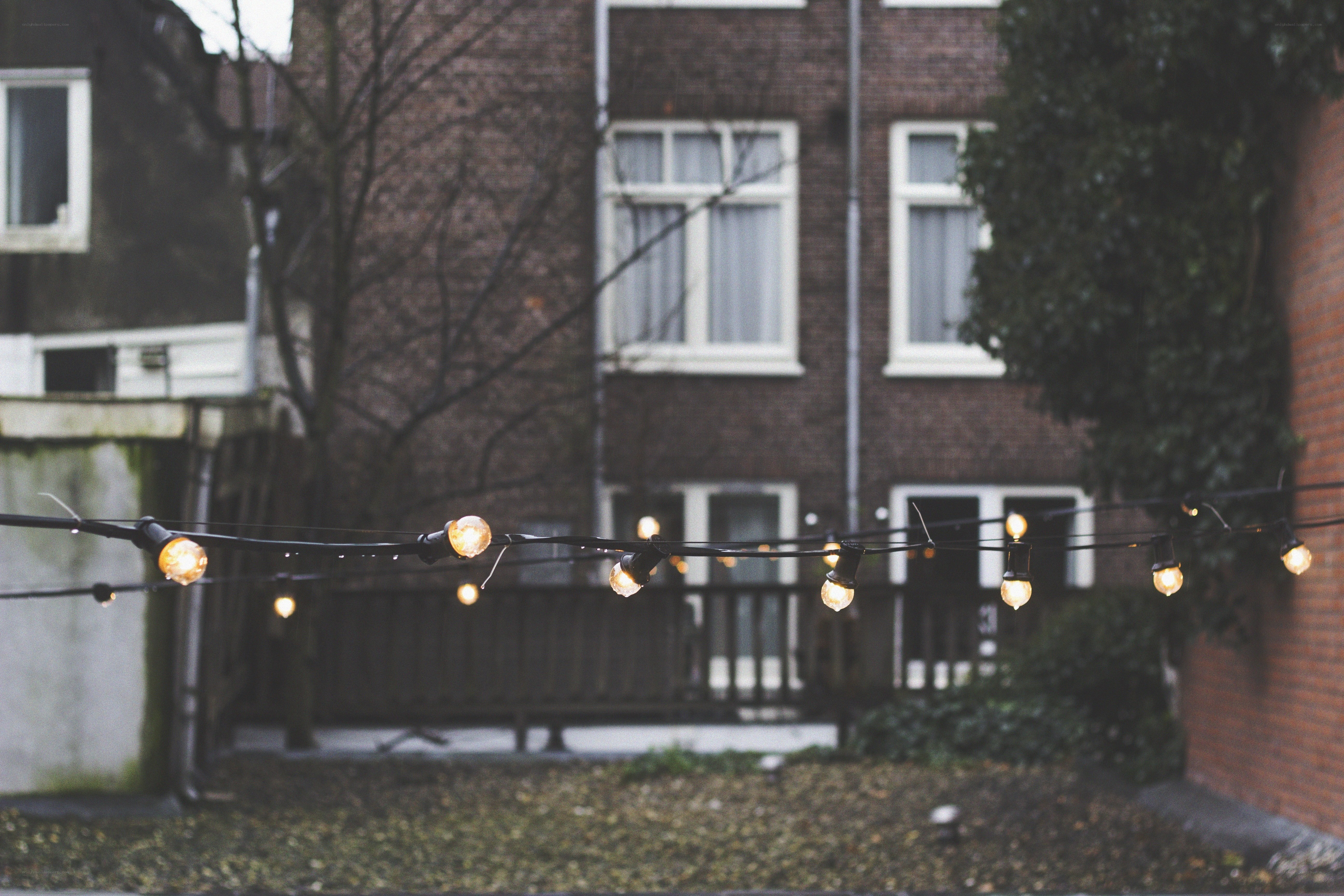 String lights in a backyard