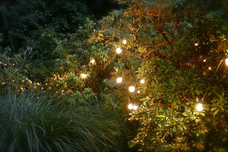String lights in a garden