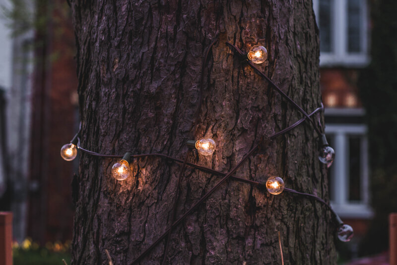 String lights on a tree