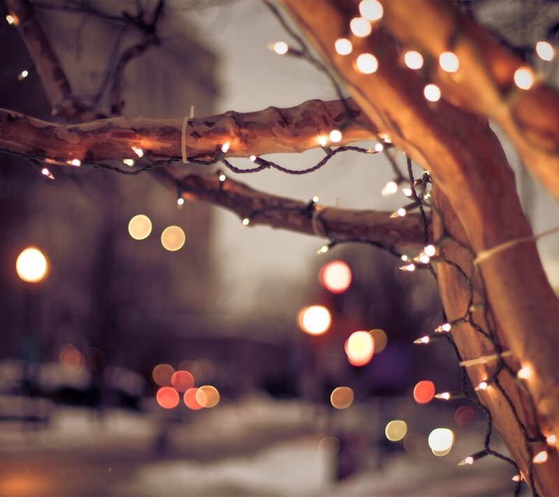 String Lights on Tree Branch