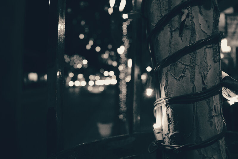 String Lights on Tree Trunk