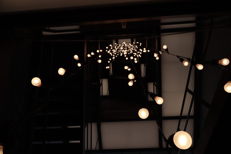 String of Light Bulbs — Black, Dark