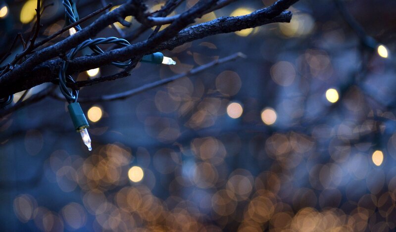 String of Lights on Branch — Blue