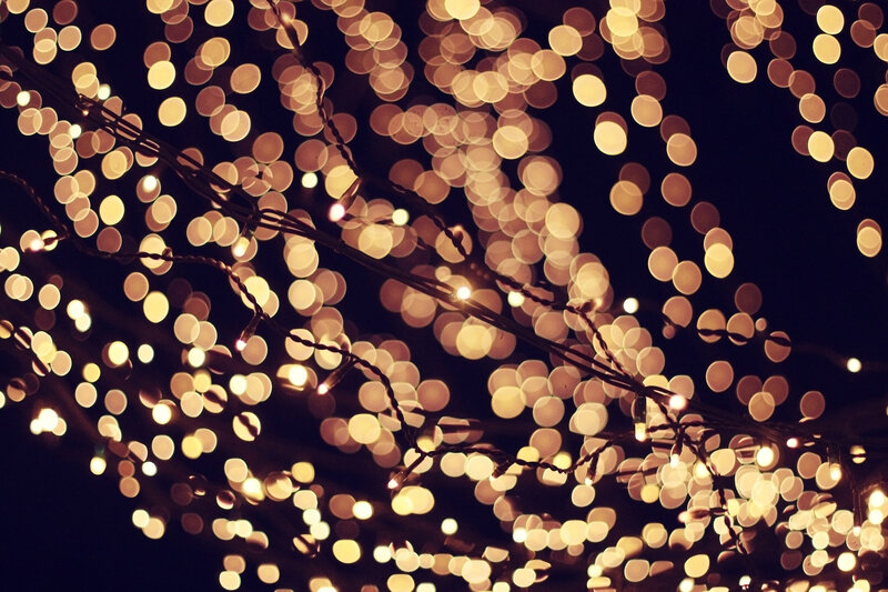 String of Lights on Branches