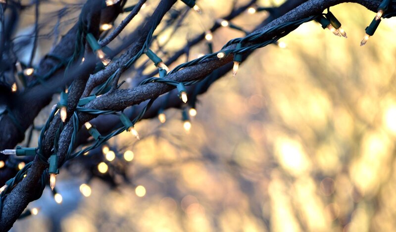 String of Lights on Tree Branch — Green