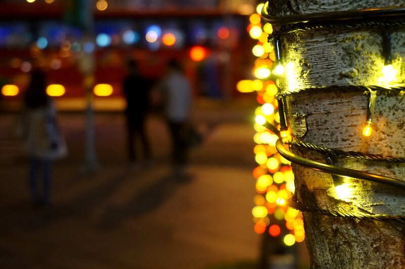 String of Lights on Tree