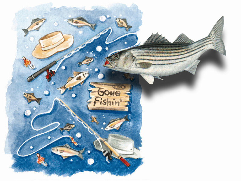 Striped Bass Fish — Blue