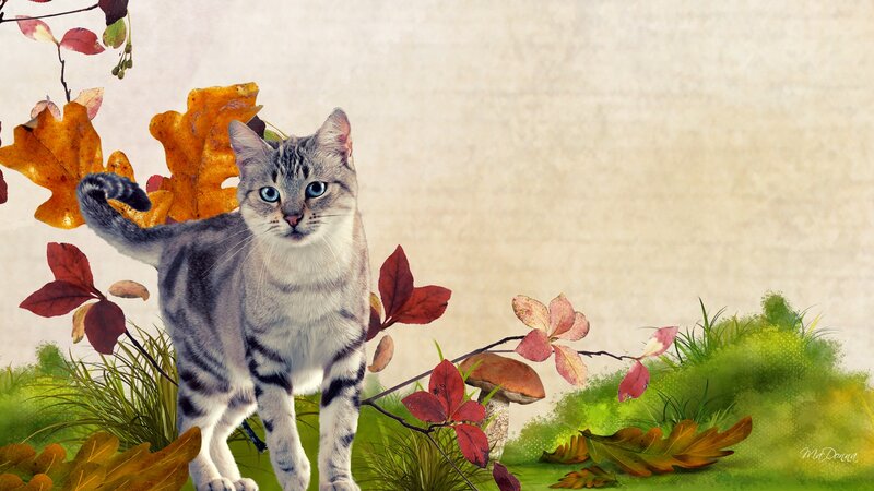 Striped Cat in Autumn
