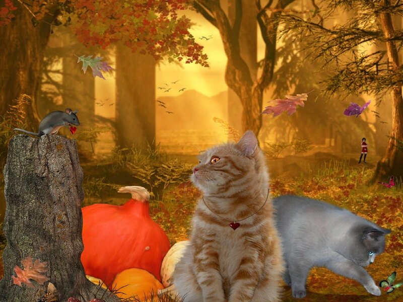 Striped Cat in Forest