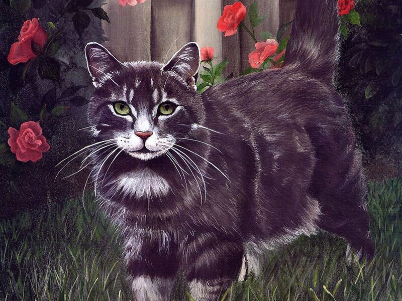 Striped Cat in Garden