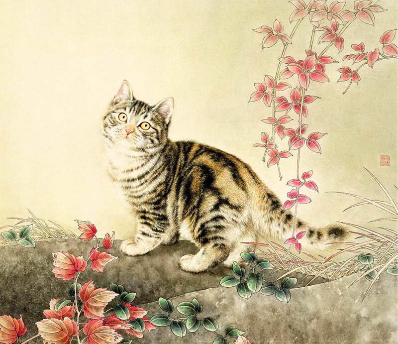 Striped Cat on Stone