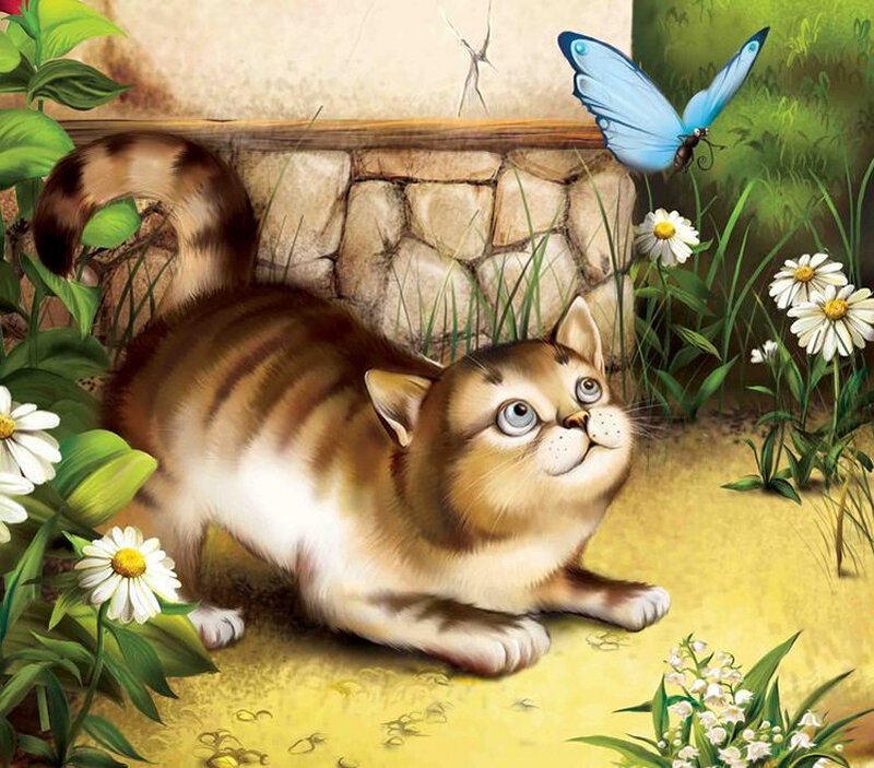 Striped Cat Playing