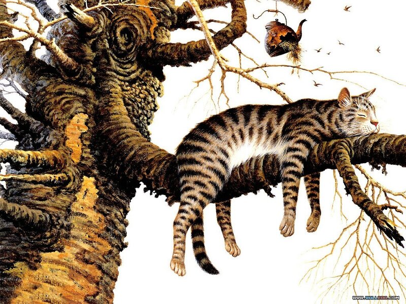 Striped Cat Sleeping