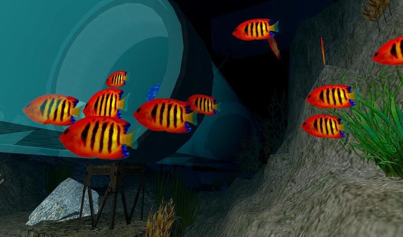 Striped Fish in Aquarium — Orange