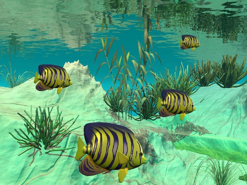 Striped Fish in Coral — Yellow, Serene
