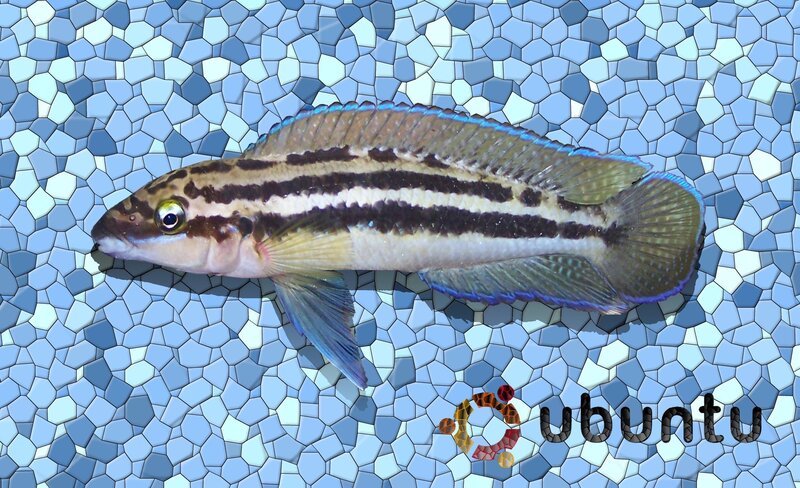 striped fish on mosaic background