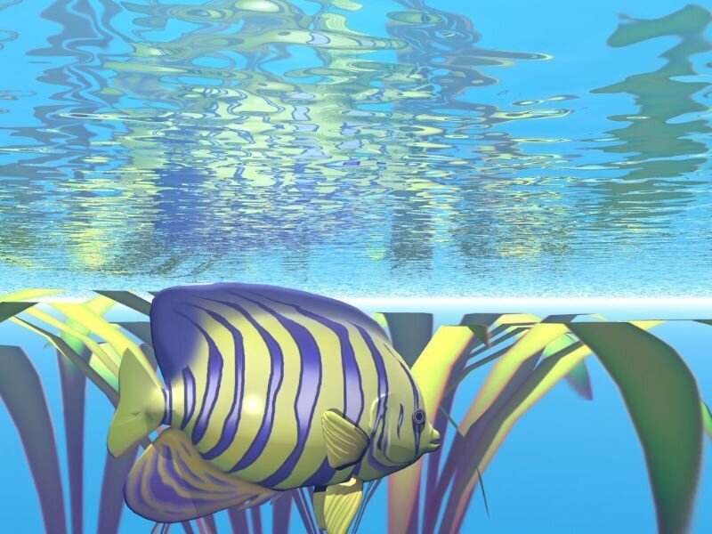 Striped Fish Underwater