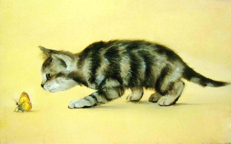 Striped Kitten and Butterfly