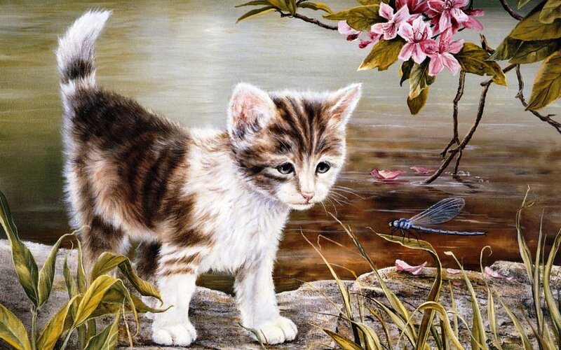 Striped Kitten by Water