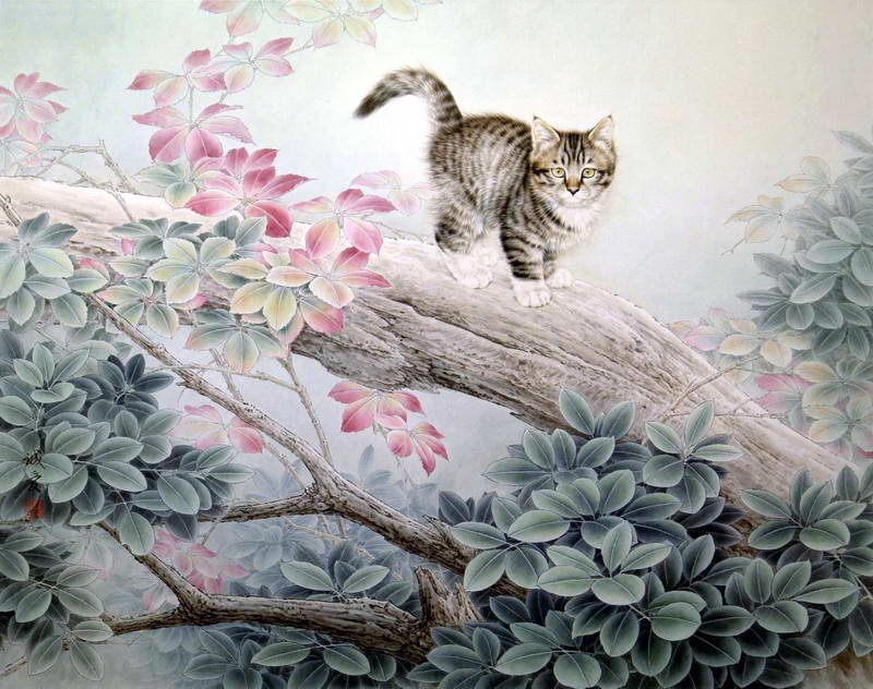 Striped Kitten on Branch