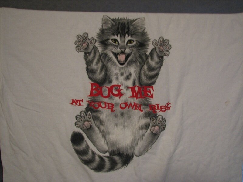 Striped Kitten on T-shirt