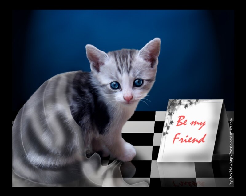 Striped Kitten with Blue Eyes — Dramatic