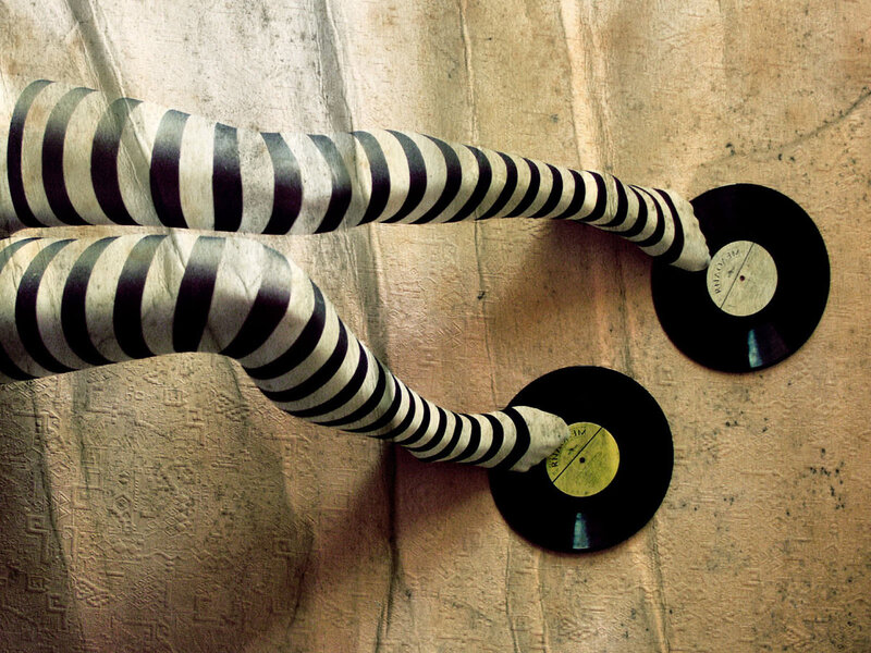 Striped Legs Holding Records — Black