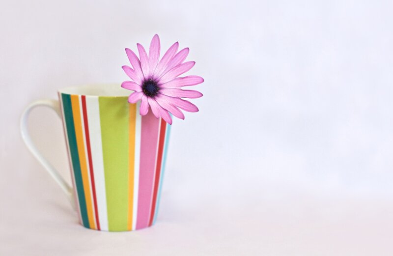 Striped Mug with Flower