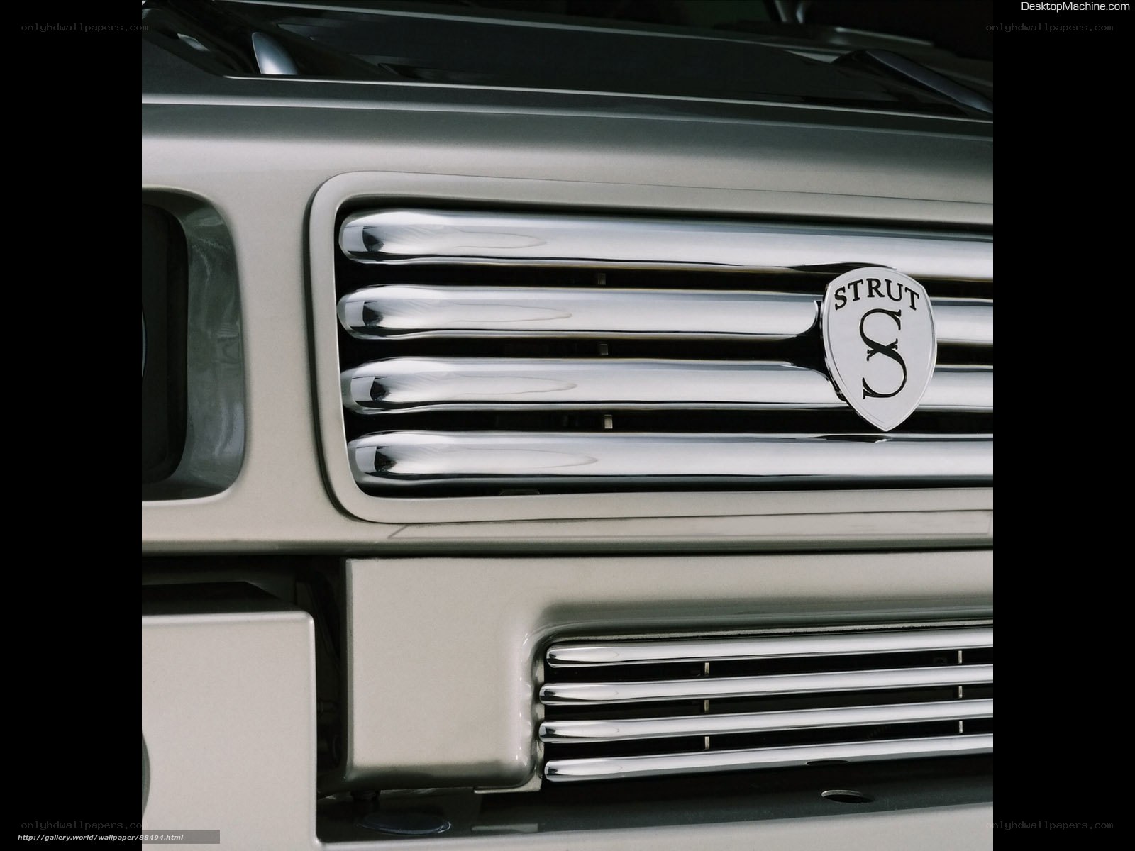 Strut badge on car grille
