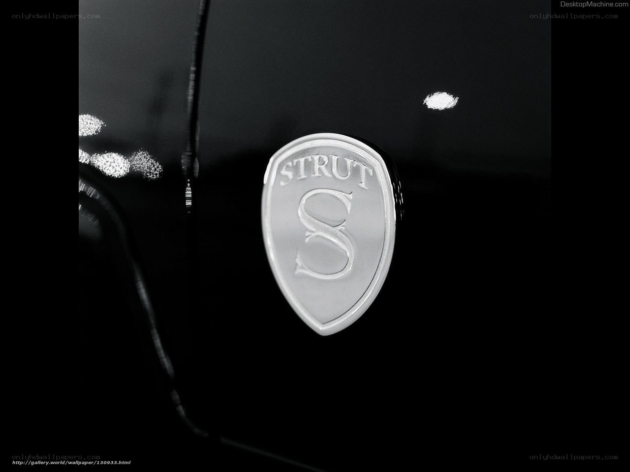 Strut car emblem close-up