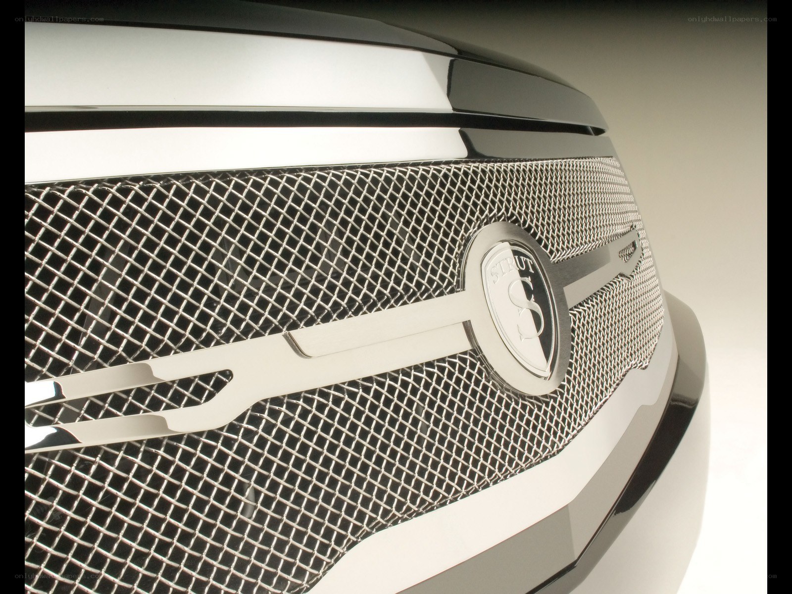 Strut grille badge close-up