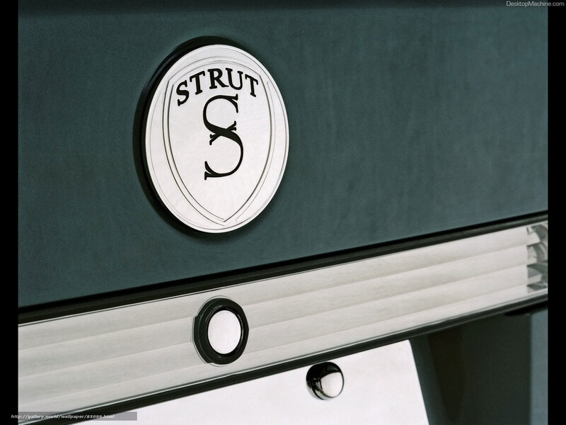 Strut logo on car