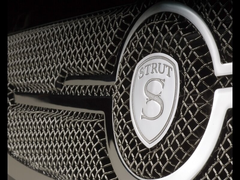 Strut S logo on car grille