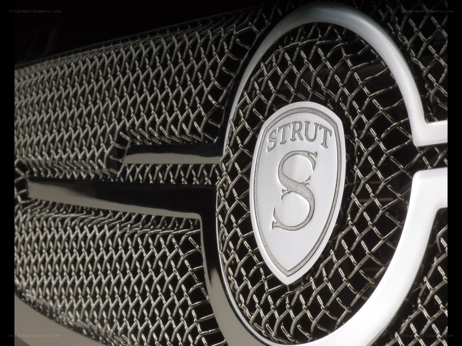 Strut S logo on car grille