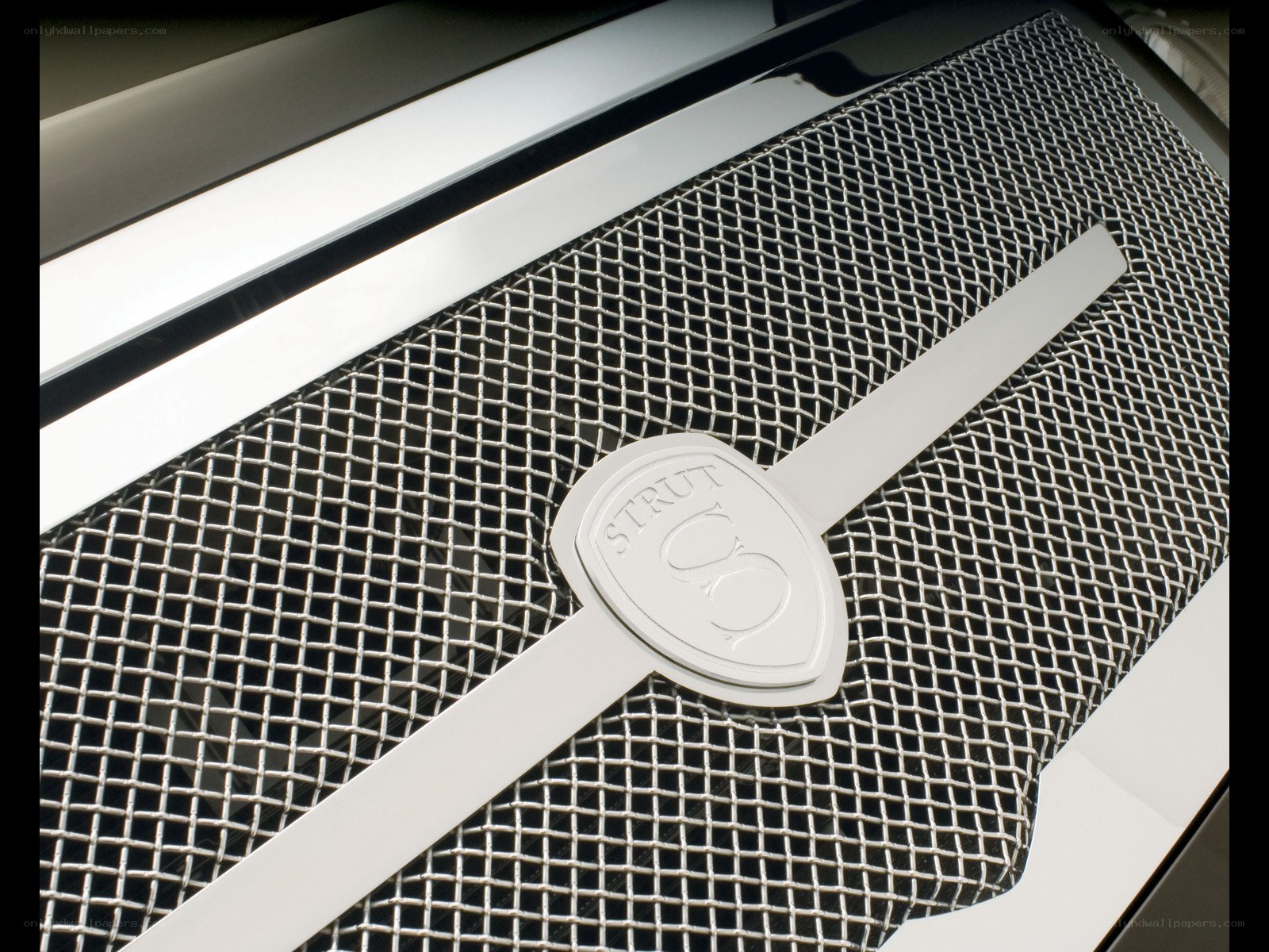 Strut SC car grille emblem