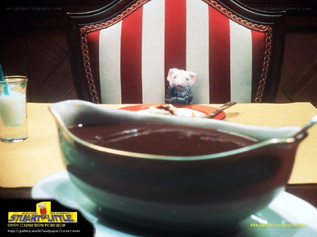 Stuart Little at dinner table