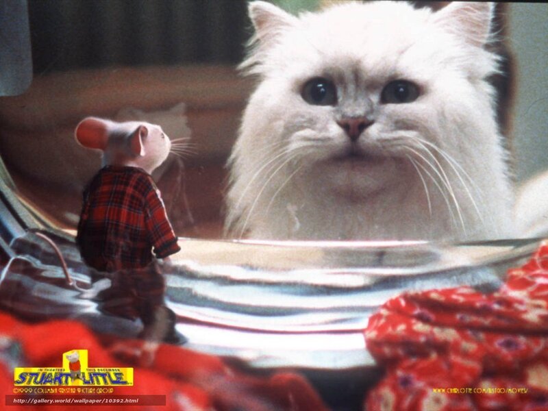 Stuart Little cat scene