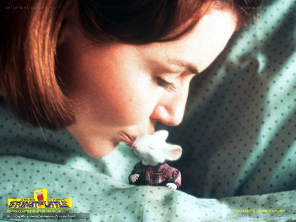 Stuart Little movie scene