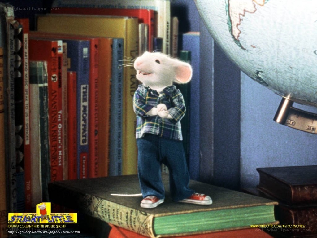 Stuart Little on a bookshelf