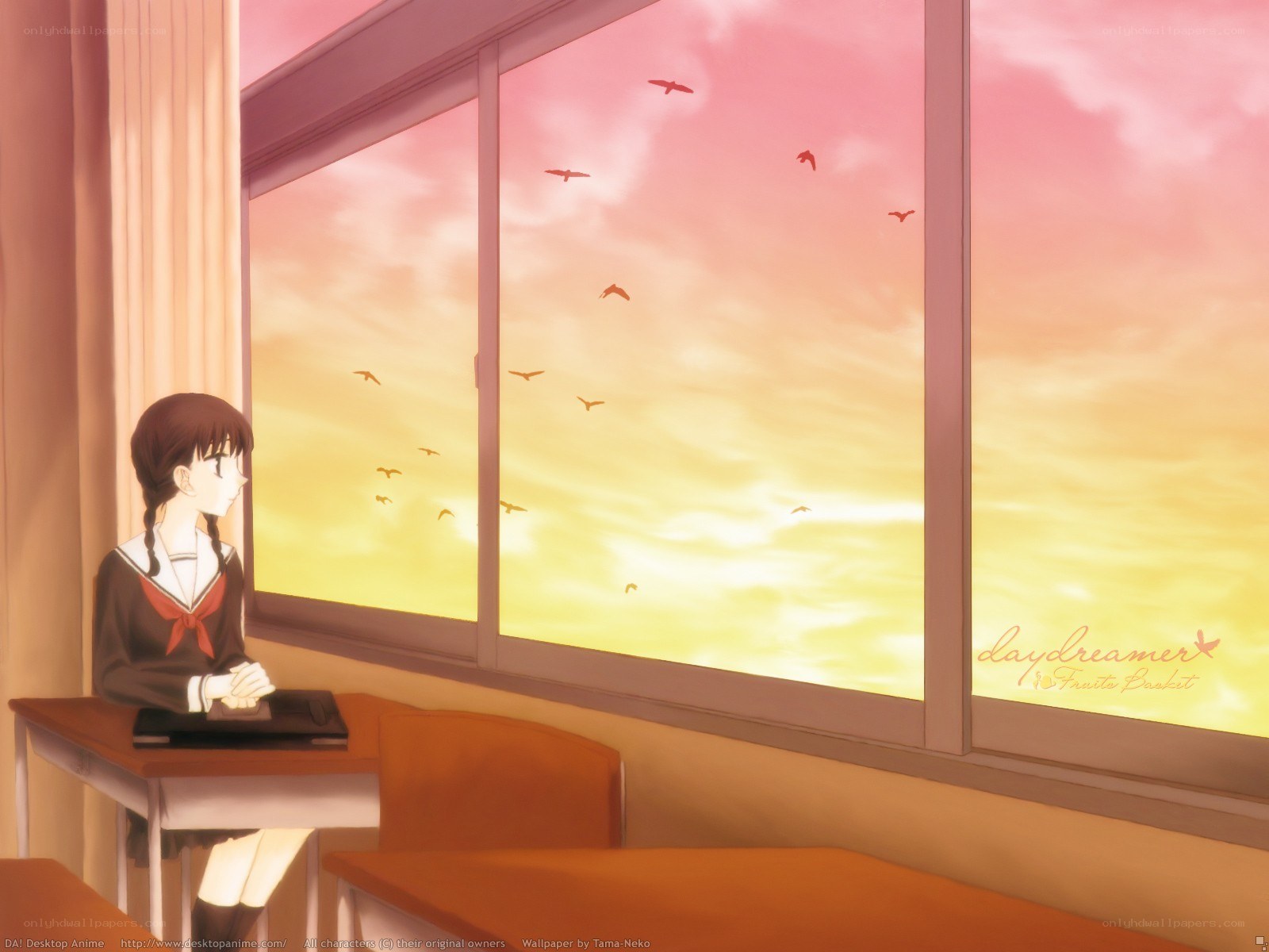 Student at desk watching sunset