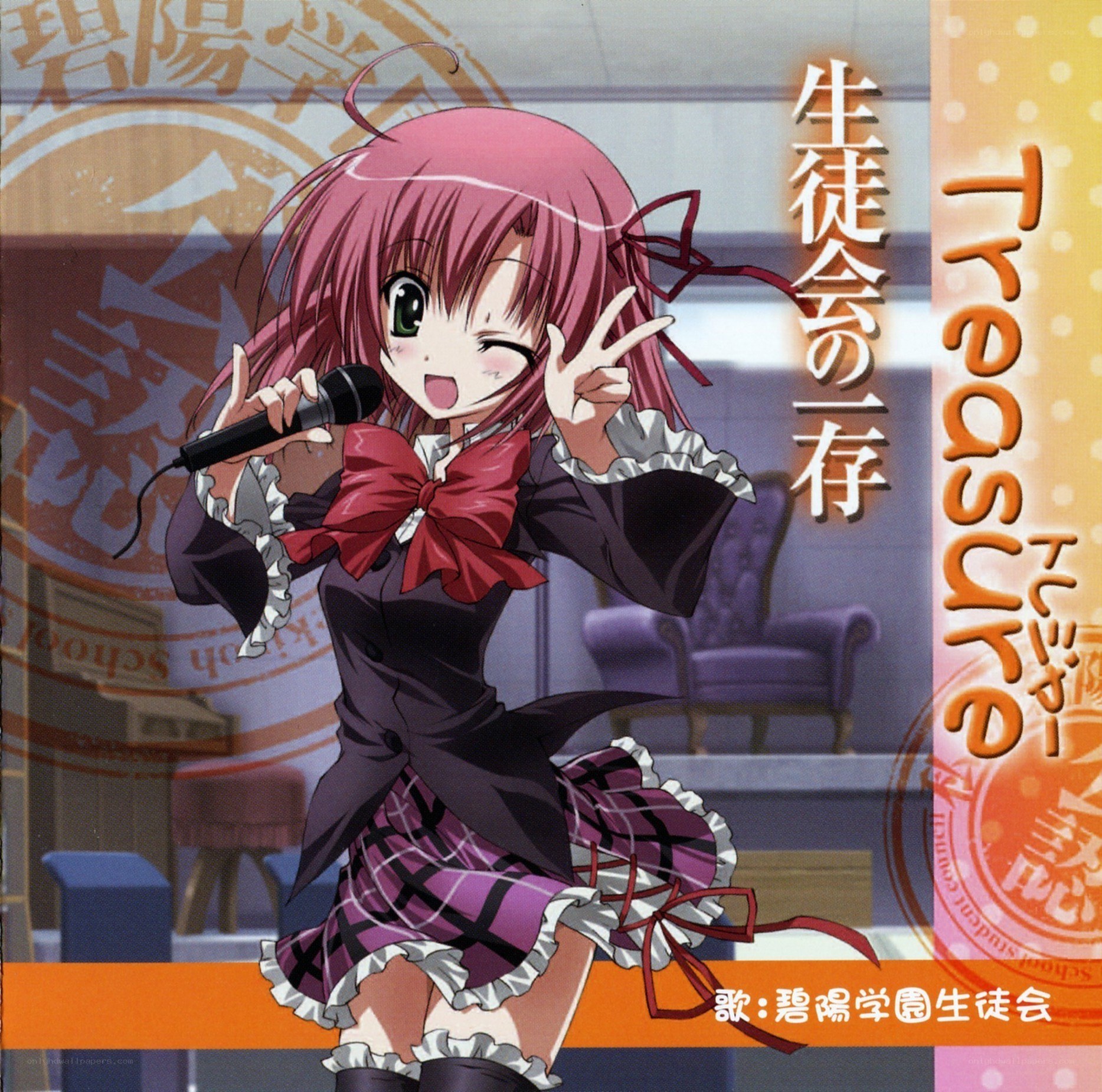 Student Council Treasure