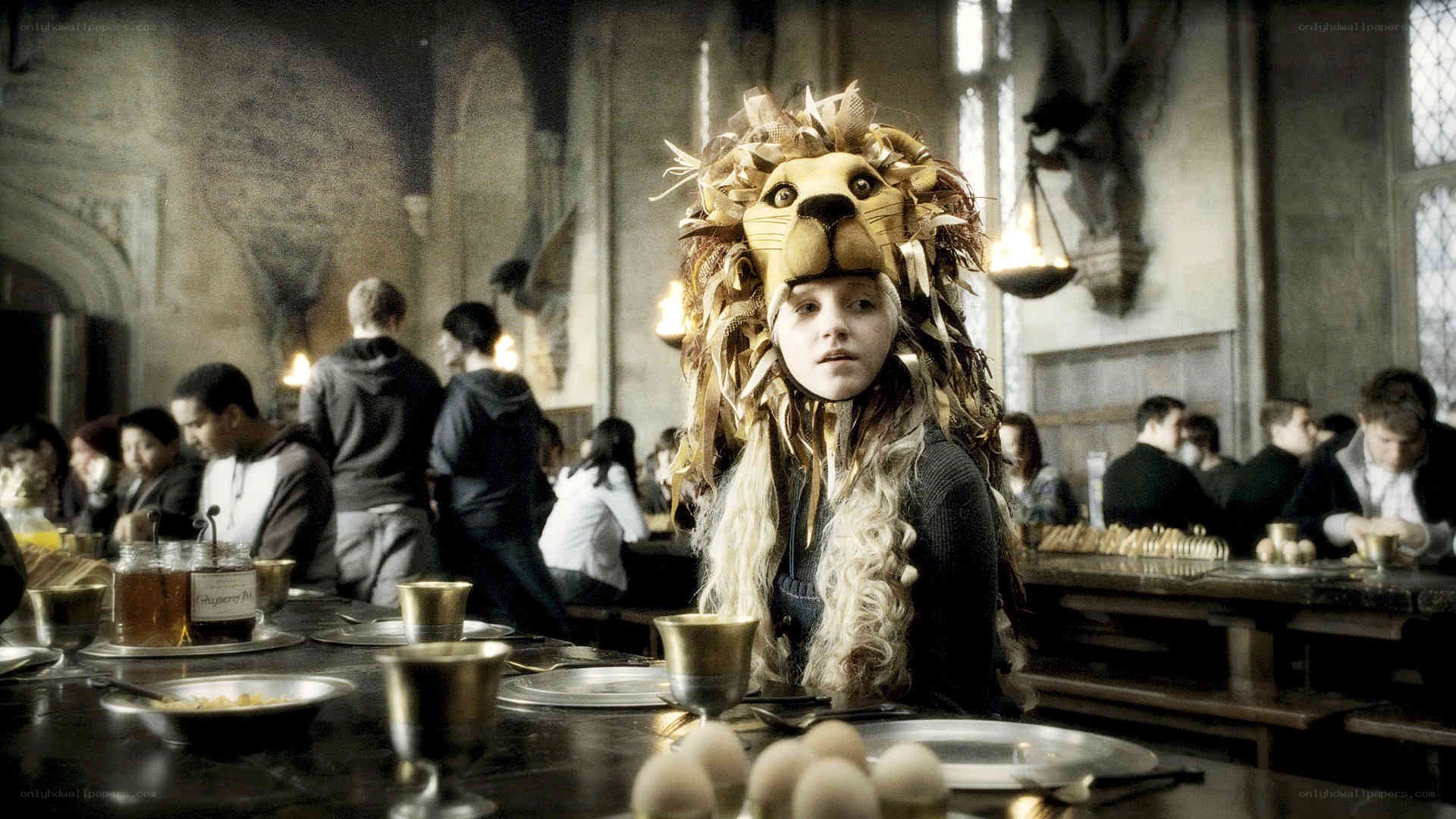 Student in lion hat at Hogwarts