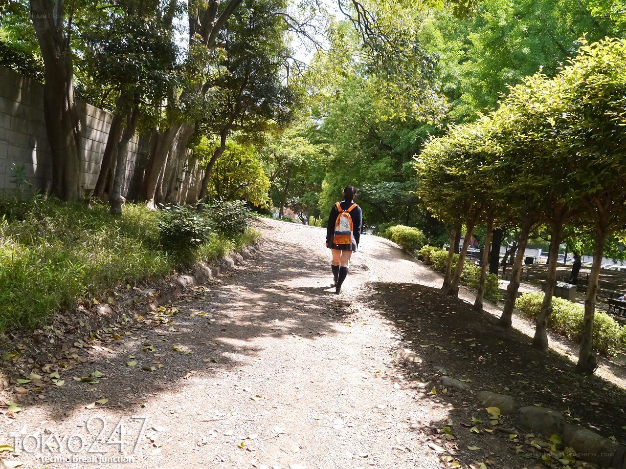 Student walking in a park